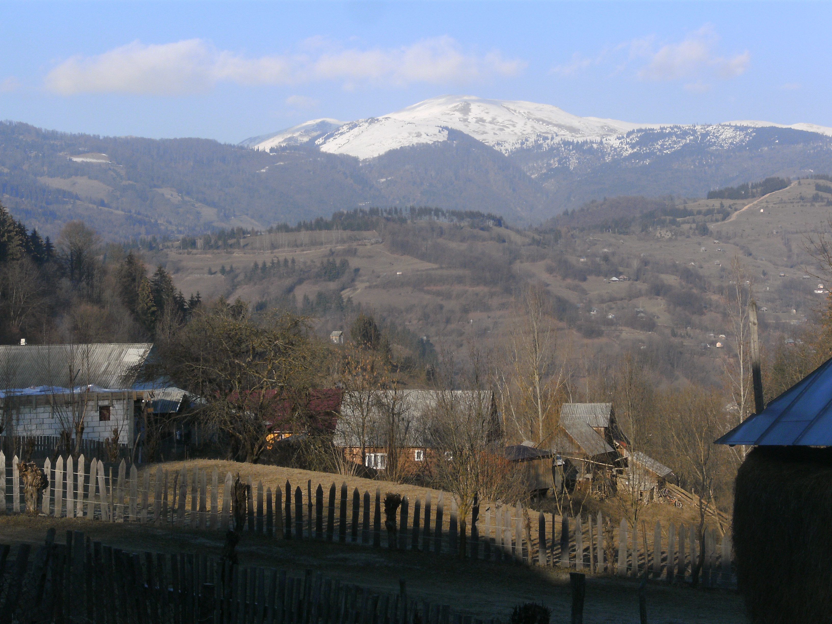 Poienile
